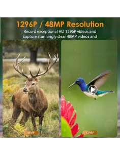 Cámara de Monitoreo BLAZEVIDEO 48MP 1296P Resistente IP66 2