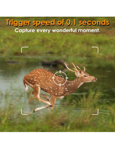 Cámara de Monitoreo BLAZEVIDEO 48MP 1296P Resistente IP66