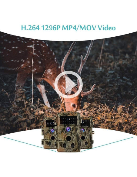 Cámara de Monitoreo BLAZEVIDEO 48MP 1296P Resistente IP66