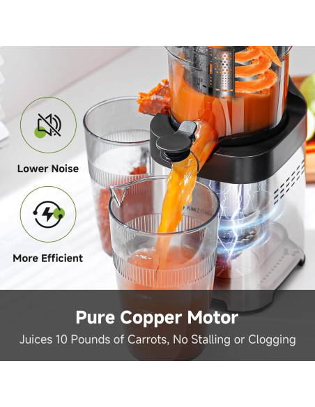 Extractor de Jugo AMZCHEF ZM1902B, Acero Inoxidable, 200W