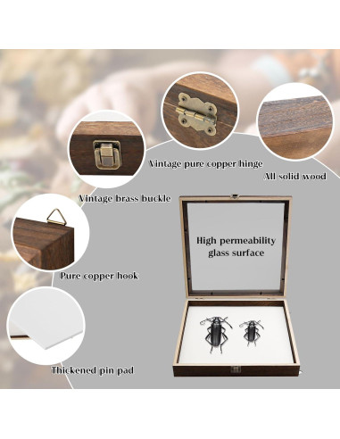 Caja de Sombra Rectangular Saihisday 11x14 cm Marco Negro