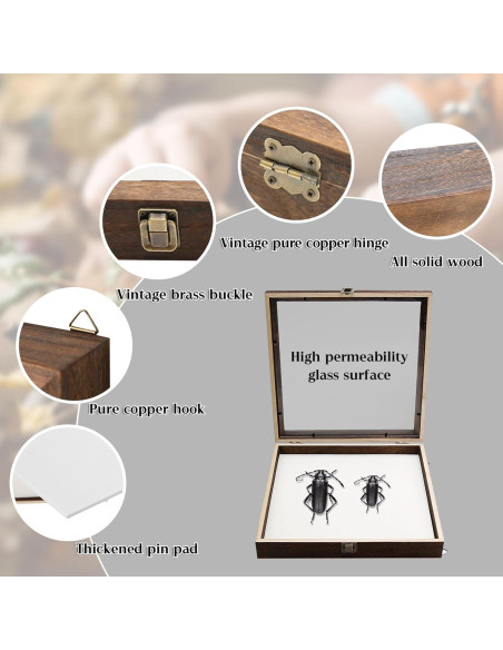 Caja de Sombra Rectangular Saihisday 11x14 cm Marco Negro