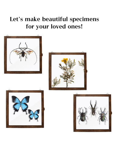 Caja de Sombra Rectangular Saihisday 11x14 cm Marco Negro