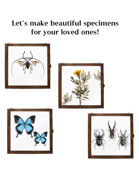 Caja de Sombra Rectangular Saihisday 11x14 cm Marco Negro