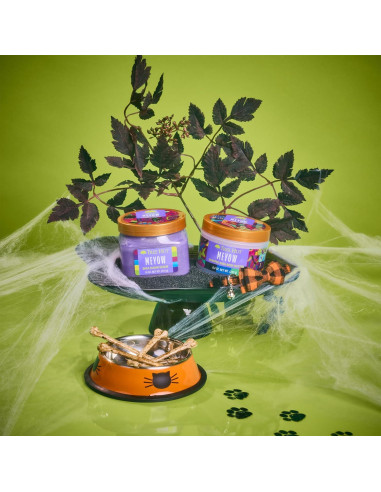 Exfoliante de Azúcar Tree Hut Meyow 2 Piezas 300g