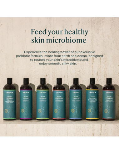 Jabón Corporal Orgánico Aleavia 100% Natural Aroma Arándano 473ml