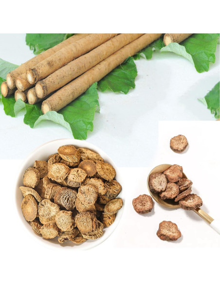 Té de raíz de bardana Holfcitylf 114g 100% natural antioxidante