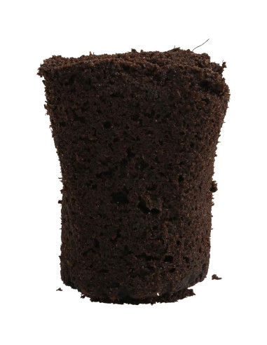 Tapones Rapid Rooter General Hydroponics para Enraizamiento - 50 Unidades