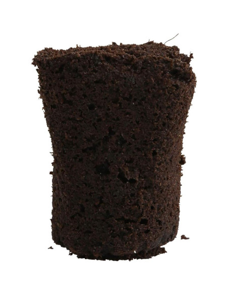 Tapones Rapid Rooter General Hydroponics para Enraizamiento - 50 Unidades