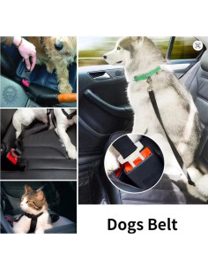 Cinturón de Seguridad para Perros Fast Prime Ajustable Nylon 2