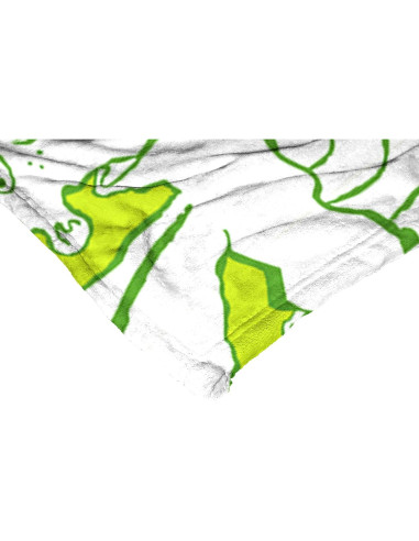 Manta de Toque de Seda Northwest Ed Edd n Eddy 127x152 cm