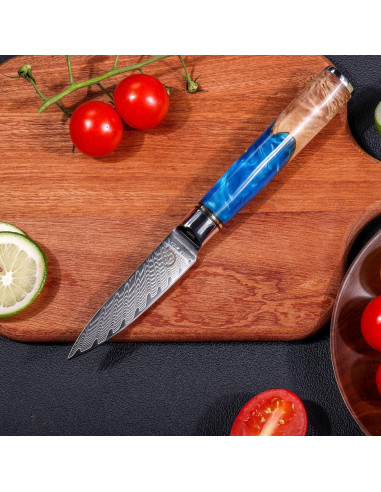Cuchillo de Pelar Fukep 3.5" Damasco VG10 Acero 66 Capas