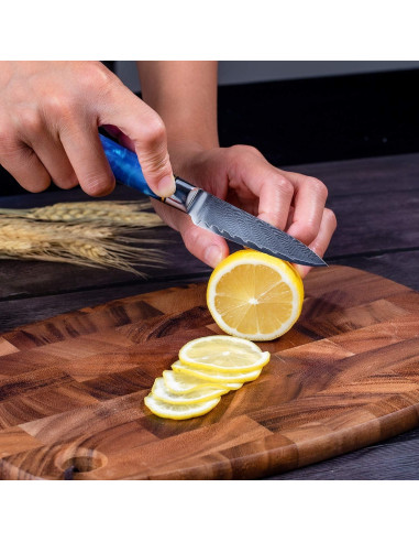 Cuchillo de Pelar Fukep 3.5" Damasco VG10 Acero 66 Capas