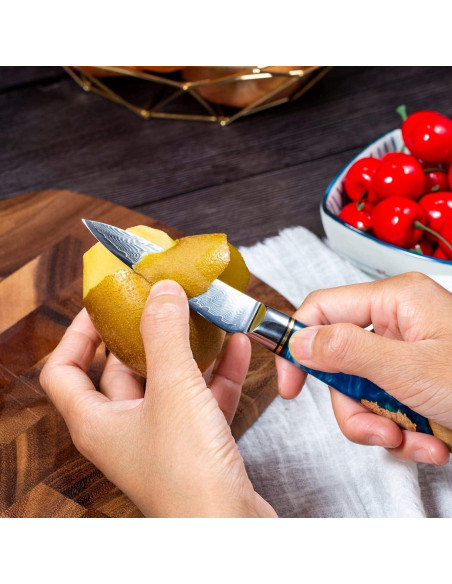 Cuchillo de Pelar Fukep 3.5" Damasco VG10 Acero 66 Capas