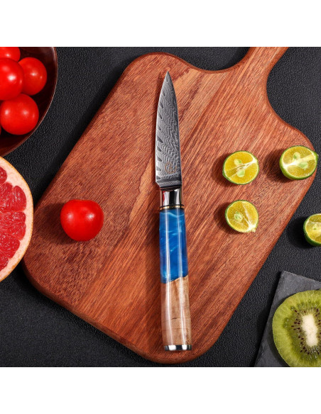 Cuchillo de Pelar Fukep 3.5" Damasco VG10 Acero 66 Capas