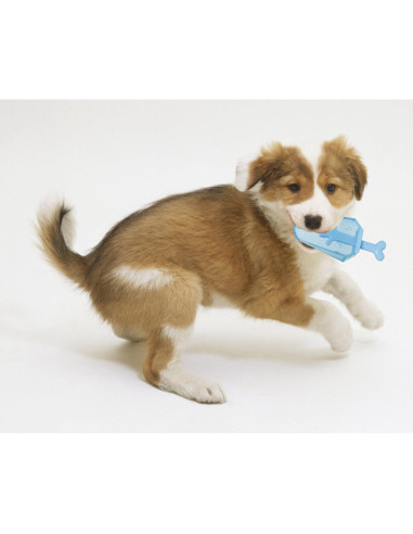 Juguete Enfriable para Perros Pet Life Lamer y Morder Azul