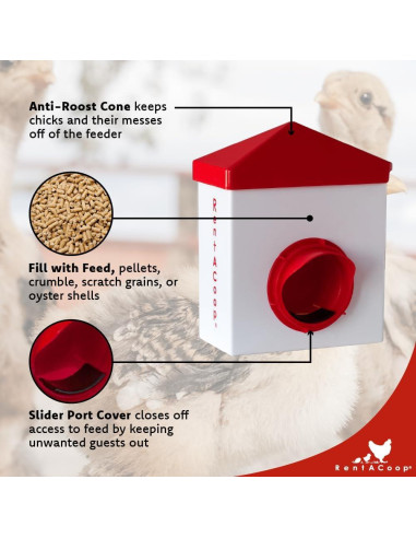 Alimentador RentACoop Chick2Chicken 1.13kg Libre de BPA