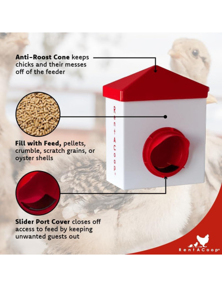Alimentador RentACoop Chick2Chicken 1.13kg Libre de BPA Alimentador RentACoop Chick2Chicken 1.13kg Libre de BPA