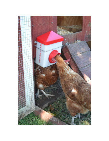 Alimentador RentACoop Chick2Chicken 1.13kg Libre de BPA