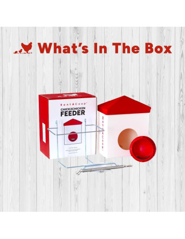 Alimentador RentACoop Chick2Chicken 1.13kg Libre de BPA