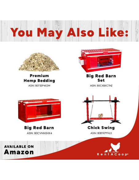 Alimentador RentACoop Chick2Chicken 1.13kg Libre de BPA Alimentador RentACoop Chick2Chicken 1.13kg Libre de BPA