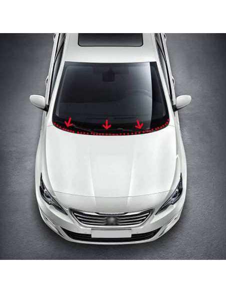 Tira de Sellado de Goma GoldWheel 2.44m para Parabrisas Negro