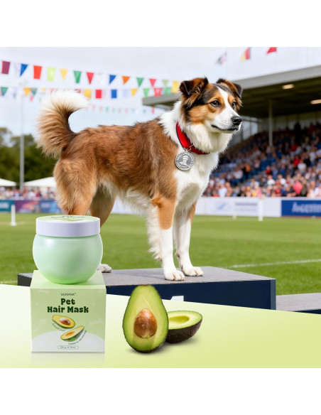 Acondicionador para Perros Ulroyda 240g - Hidrata y Desenreda Acondicionador para Perros Ulroyda 240g - Hidrata y Desenreda