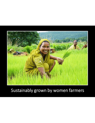 Aceite de Girasol Daana 340ml Orgánico Prensado en Frío