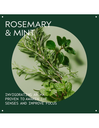 Conjunto de Regalo Aveda Champú y Acondicionador Romero Menta 2 Pzs