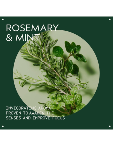 Conjunto de Regalo Aveda Champú y Acondicionador Romero Menta 2 Pzs