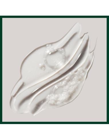 Conjunto de Regalo Aveda Champú y Acondicionador Romero Menta 2 Pzs