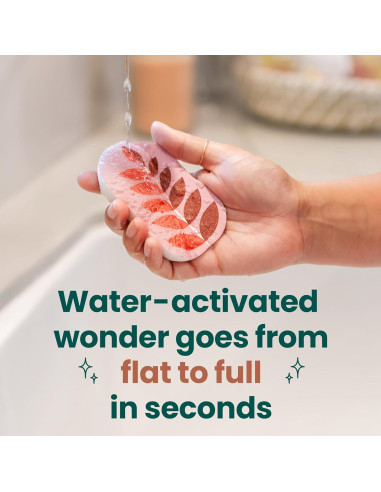 Colección Brite Harvest Scotch-Brite 8 Esponjas de Limpieza