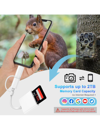 Lector de Tarjetas SD DCNETWORK USB-C y Lightning 1Slot