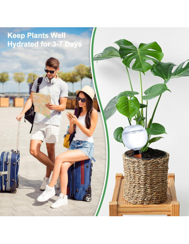 2 Esferas de Riego Automático Ansberta 17oz para Plantas