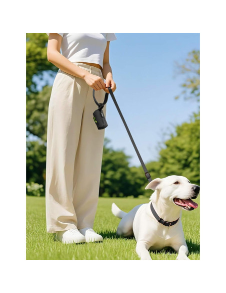 Soporte de bolsas de excremento para perros Gobeigo - Negro