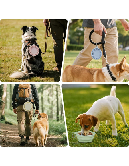 Tazones Colapsables para Perros LeeRound, Paquete de 2, 350ml