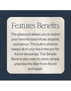 Tetera de Vidrio Borosilicato Rishi Tea Simple Brew 400ml 2