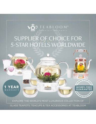 Hervidor de Té One-Touch Teabloom 800 ML Vidrio Borosilicato