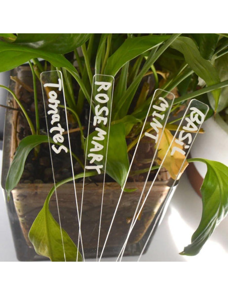 50 Etiquetas de Identificación de Suelo Acrílicas Esowemsn 12cm