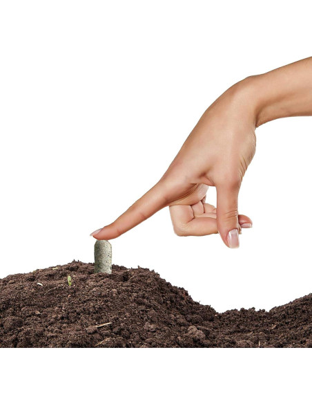 Picos de Fertilizante Orgánico Jobe's para Suculentas 12 Unidades