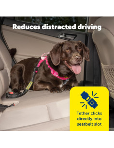 Correa de Seguridad para Mascotas PetSafe - Ajustable 38-56 cm 2