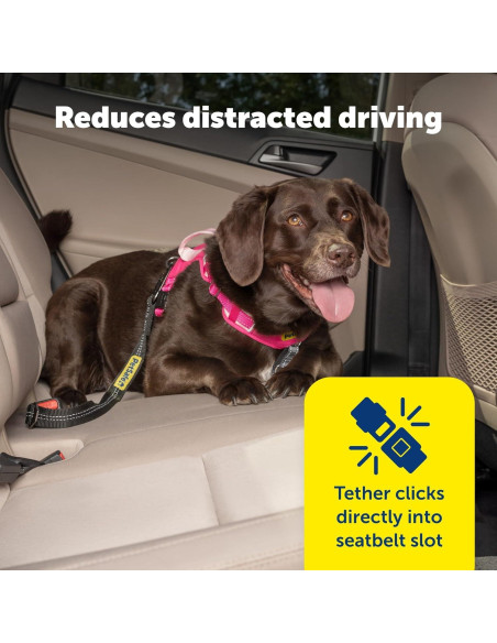 Correa de Seguridad para Mascotas PetSafe - Ajustable 38-56 cm Correa de Seguridad para Mascotas PetSafe - Ajustable 38-56 cm