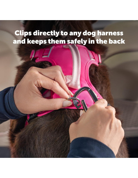 Correa de Seguridad para Mascotas PetSafe - Ajustable 38-56 cm Correa de Seguridad para Mascotas PetSafe - Ajustable 38-56 cm