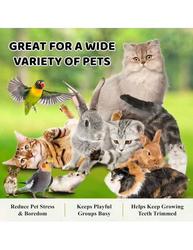 Bolas Masticables SunGrow para Conejos y Gatos - 3 Pcs