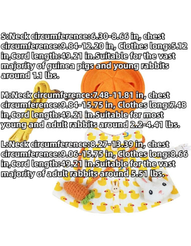 Conjunto Arnés y Correa para Conejos y Pequeñas Mascotas S