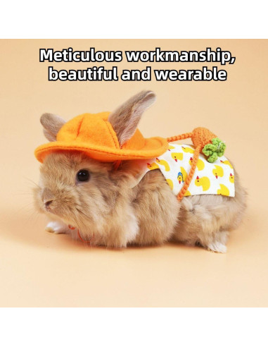 Conjunto Arnés y Correa para Conejos y Pequeñas Mascotas S