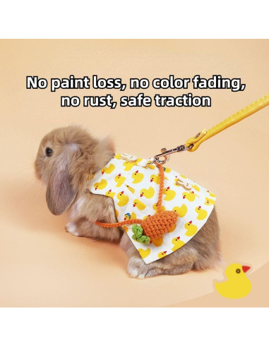 Conjunto Arnés y Correa para Conejos y Pequeñas Mascotas S