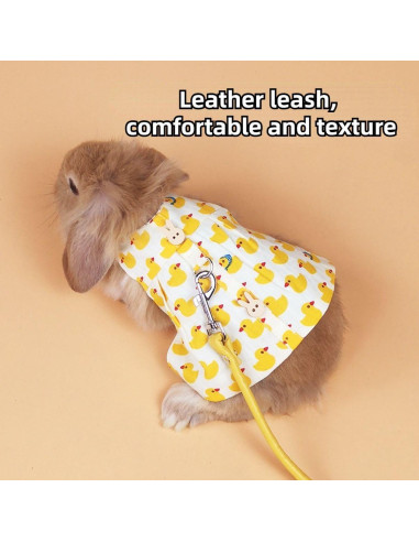 Conjunto Arnés y Correa para Conejos y Pequeñas Mascotas S