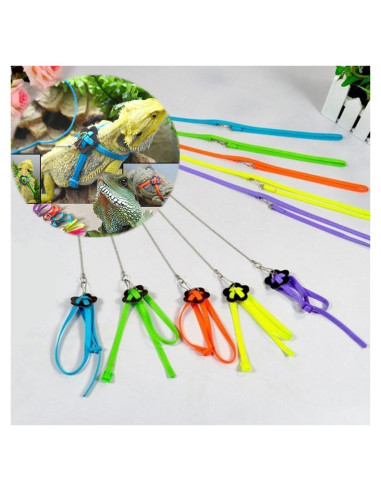 Conjunto Arnés y Correa Hypeety para Dragón Barbudo Reptiles