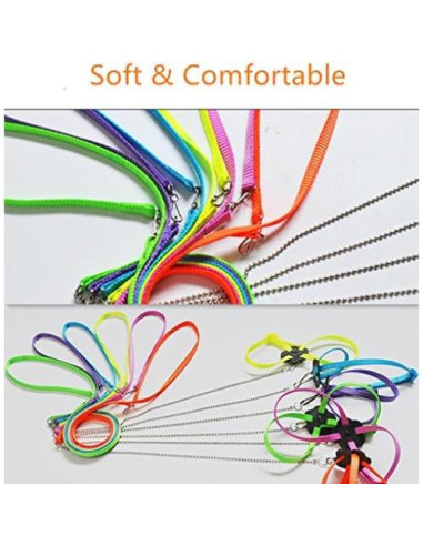 Conjunto Arnés y Correa Hypeety para Dragón Barbudo Reptiles